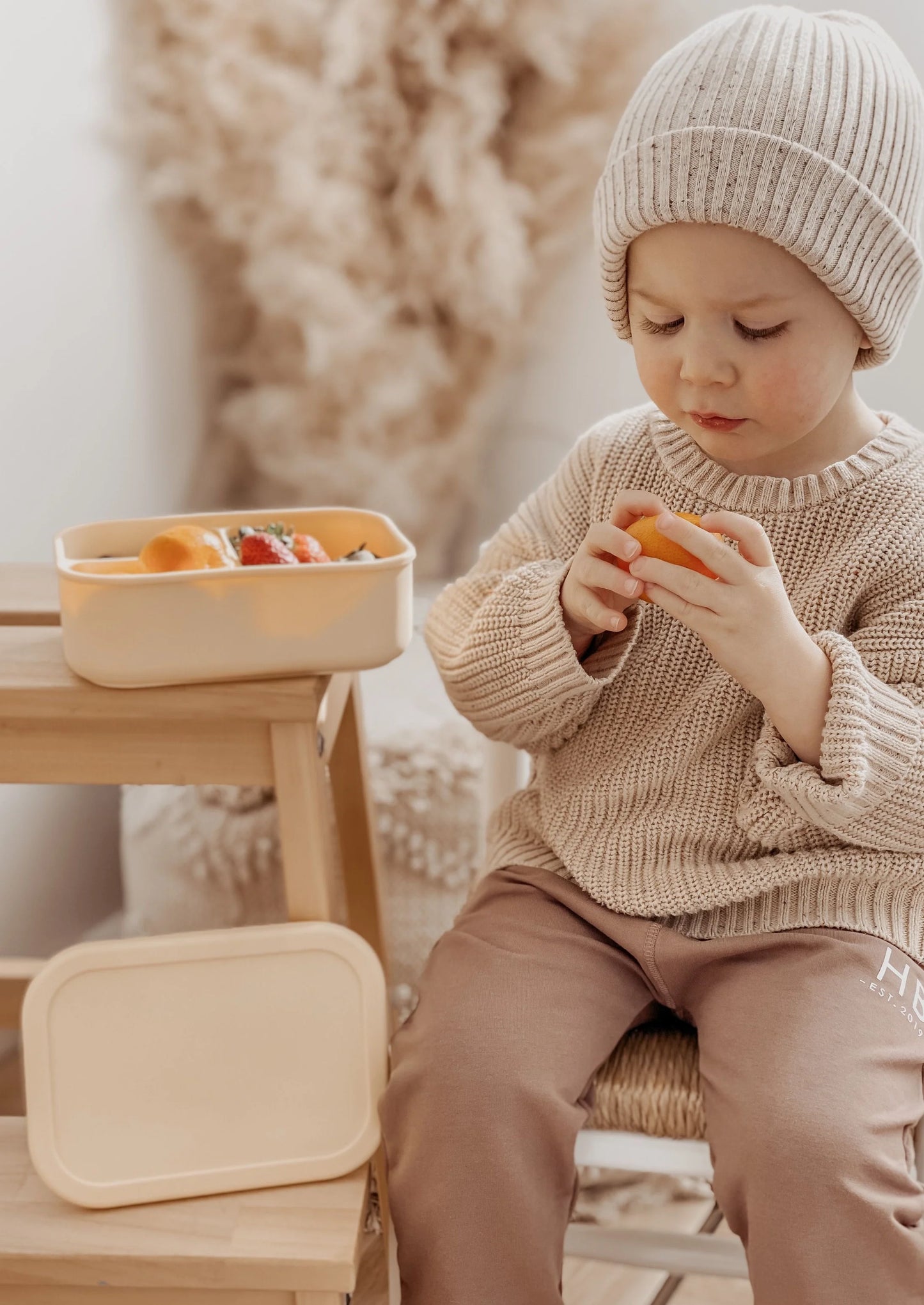 BIBO - Bento Box