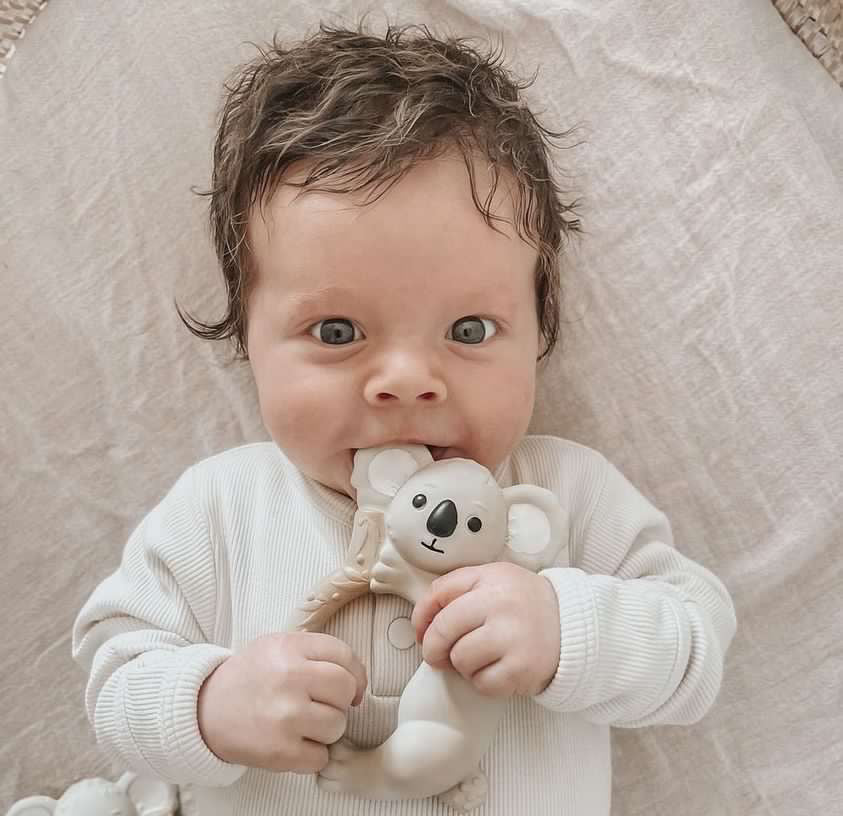 Banks The Koala - Teething Ring