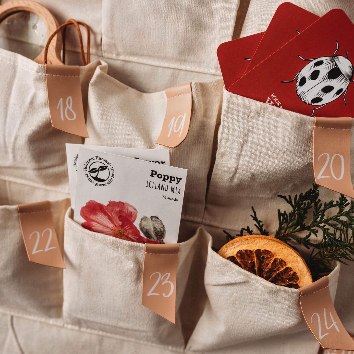 Your Wild Books - Advent Calendar