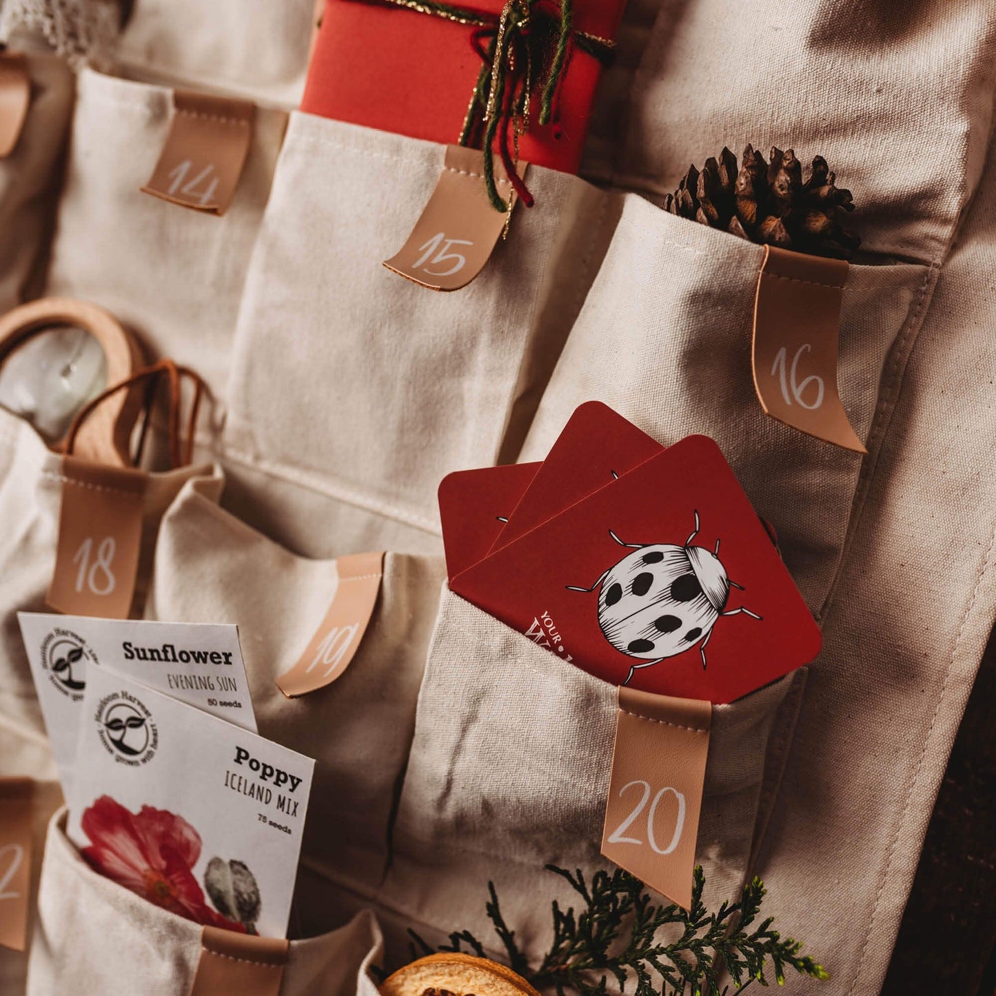 Your Wild Books - Advent Calendar