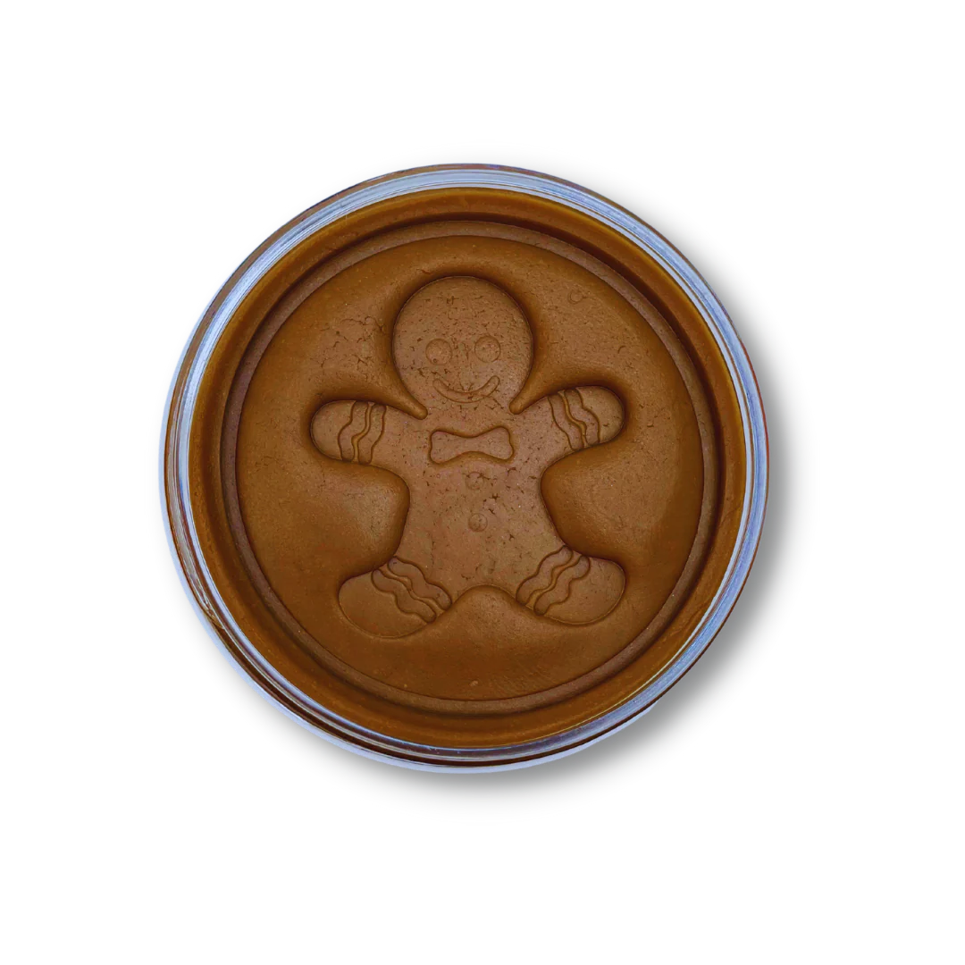 Wild Dough - Christmas Playdough Gingerbread