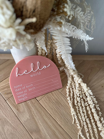 Hello World Acrylic Plaque