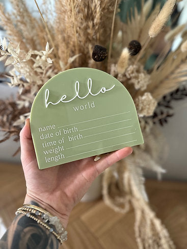 Hello World Acrylic Plaque