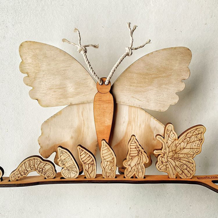 Wooden Butterly And Metamorphosis (life cycle)