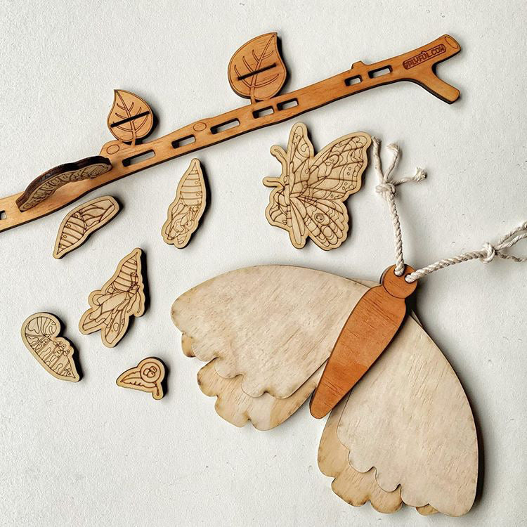 Wooden Butterly And Metamorphosis (life cycle)
