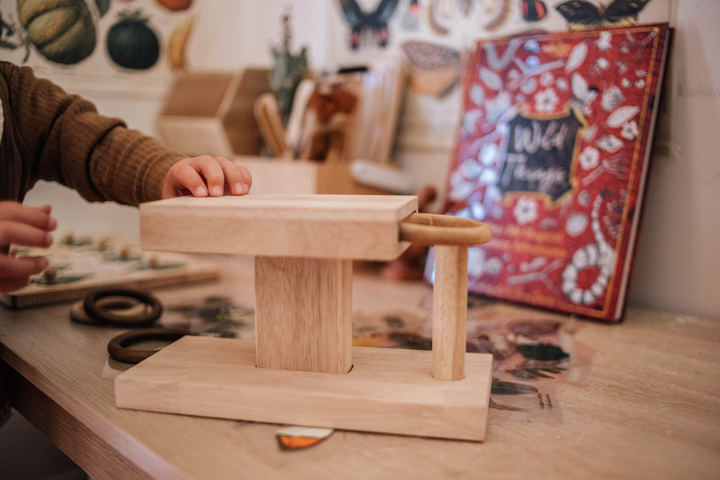 Montessori Rings Activity Set