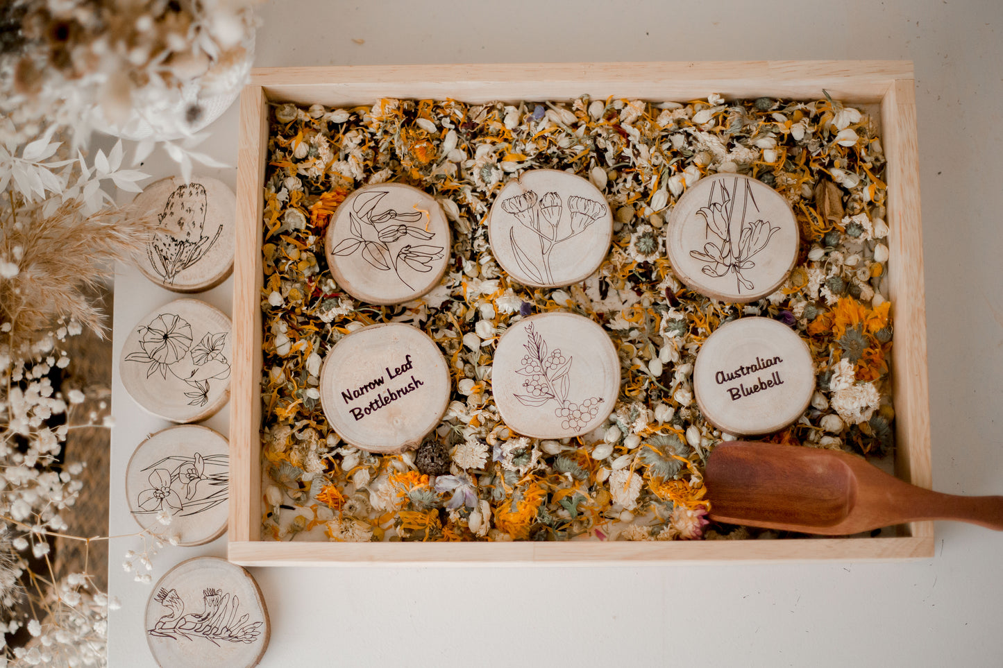 Australian Native Flora Set - 10 Pack