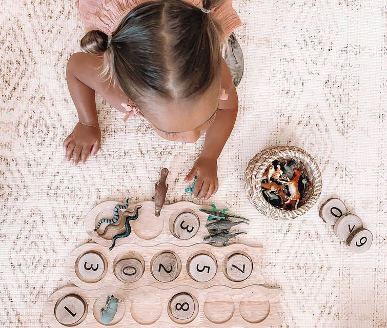 Qtoys - Peapod Math Set