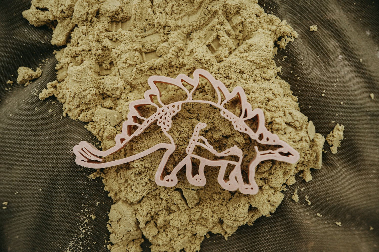 Kinfolk Pantry - Stegosaurus Dino Eco Cutter
