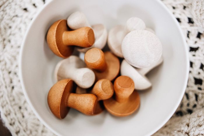 Qtoys - Mushroom set of 10