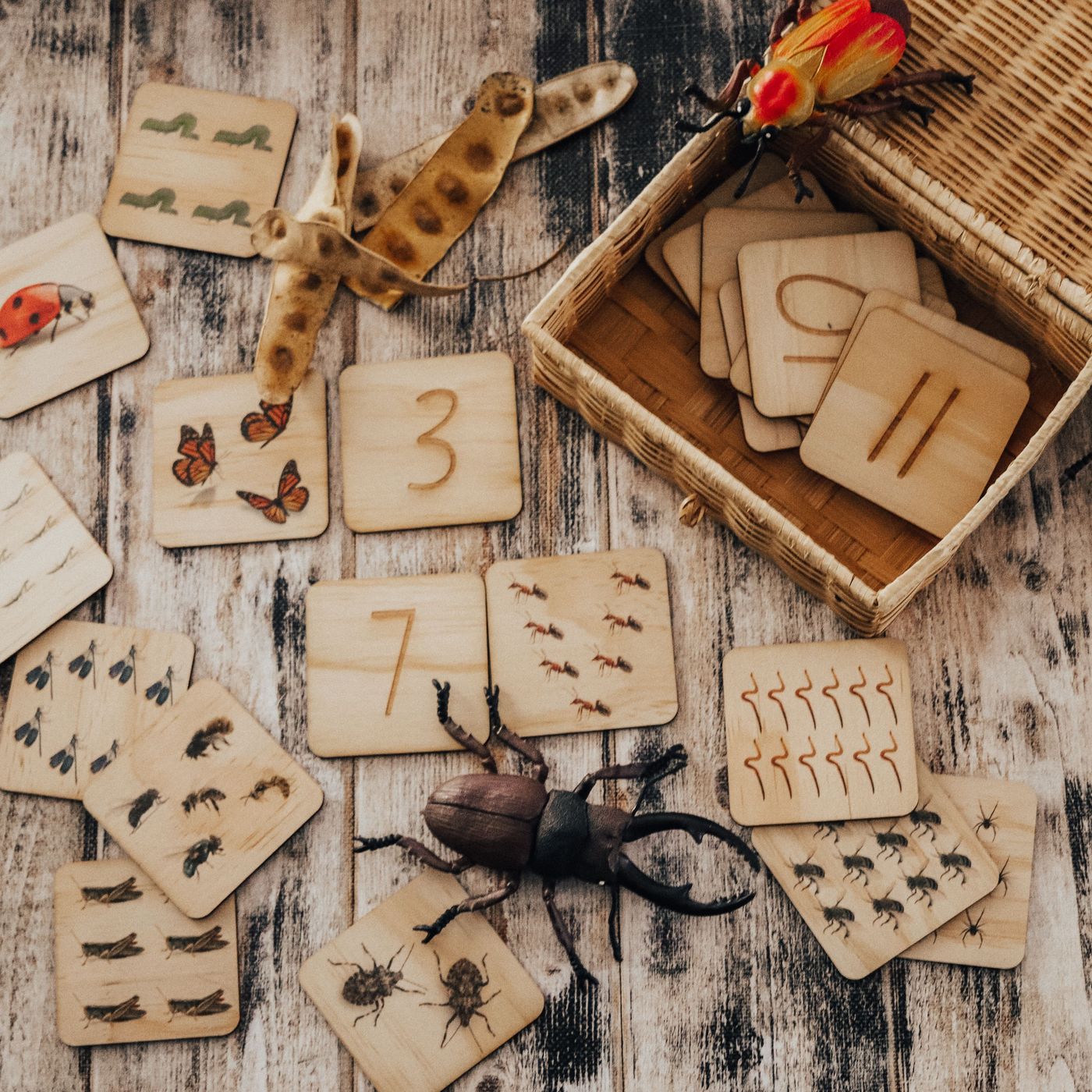 Garden Bug Puzzle - 12pc set