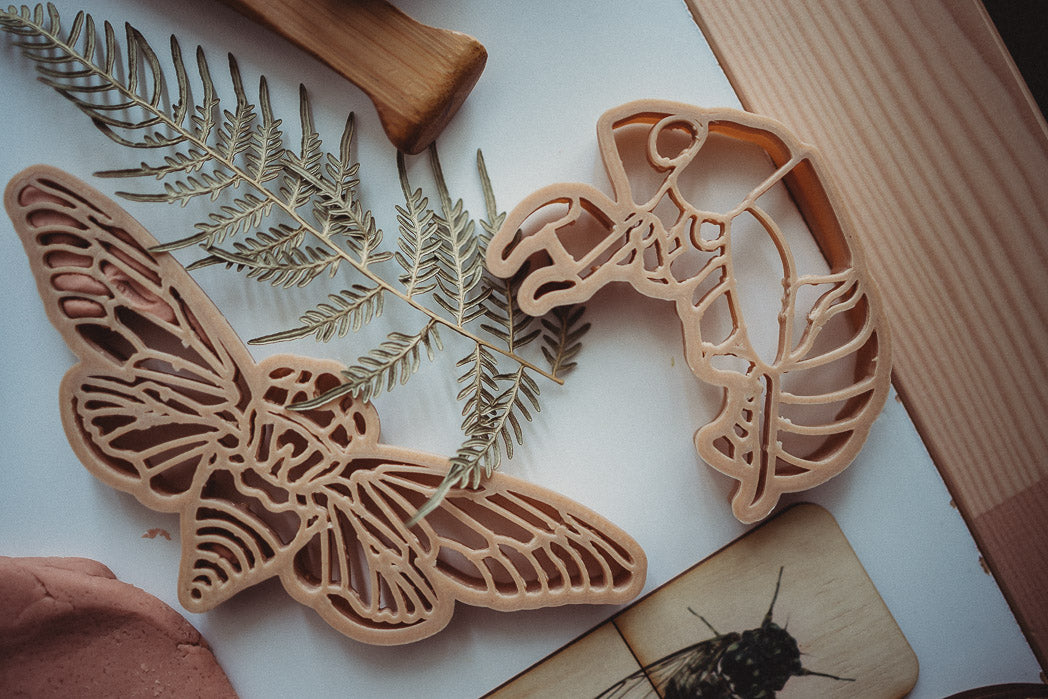 Cicada Eco Cutter Set - Kinfolk Pantry