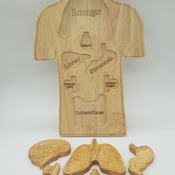 Human Anatomy Puzzle