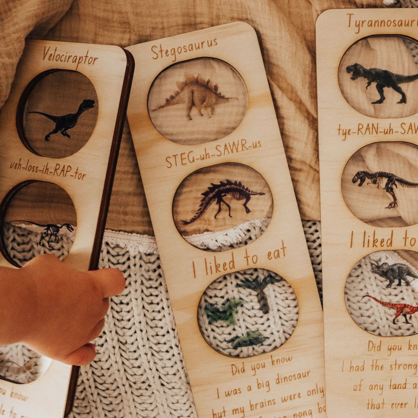 Dinosaur Prehistoric - Ecosystem