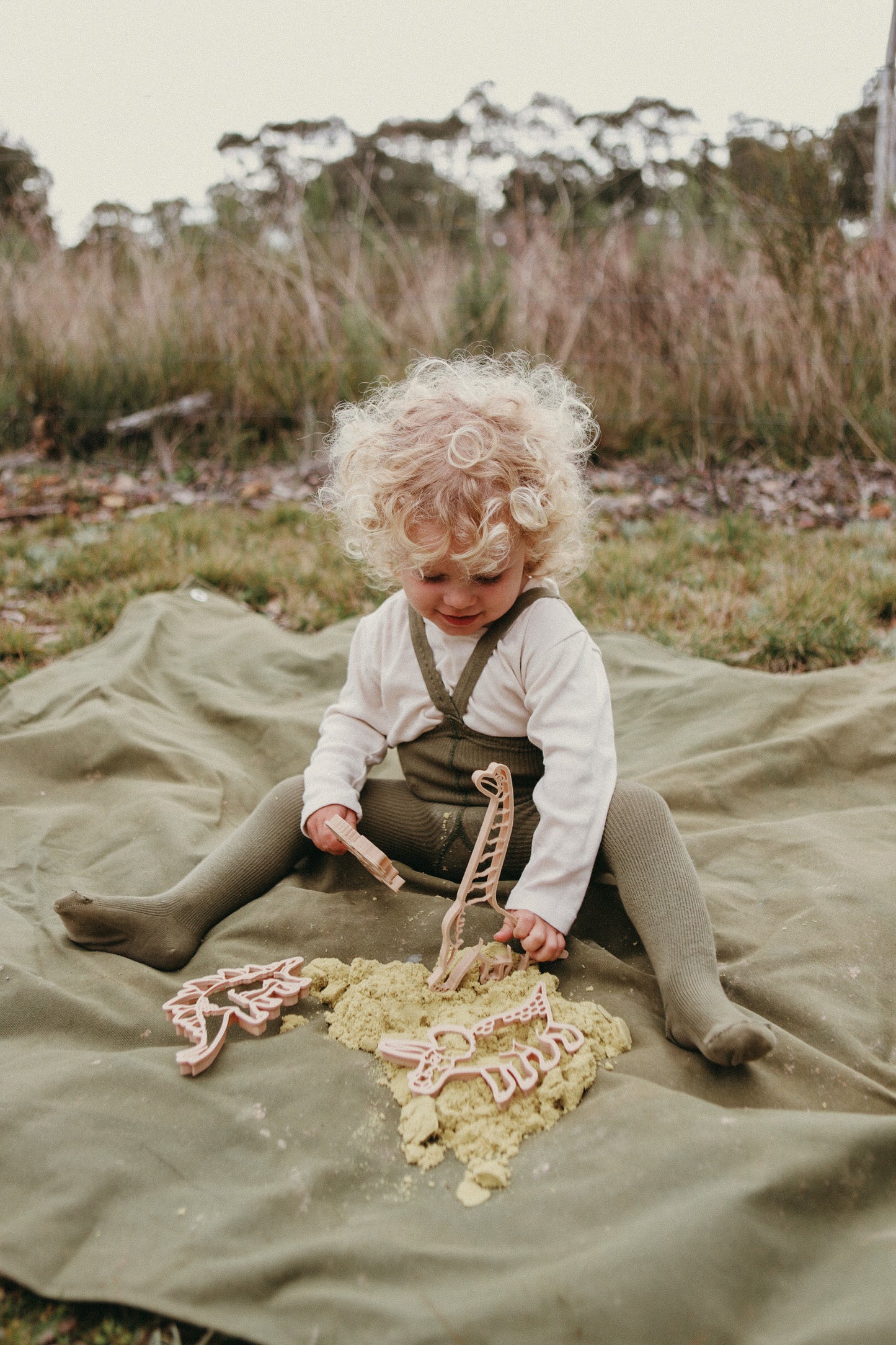 Kinfolk Pantry - T Rex Dino Eco Cutter