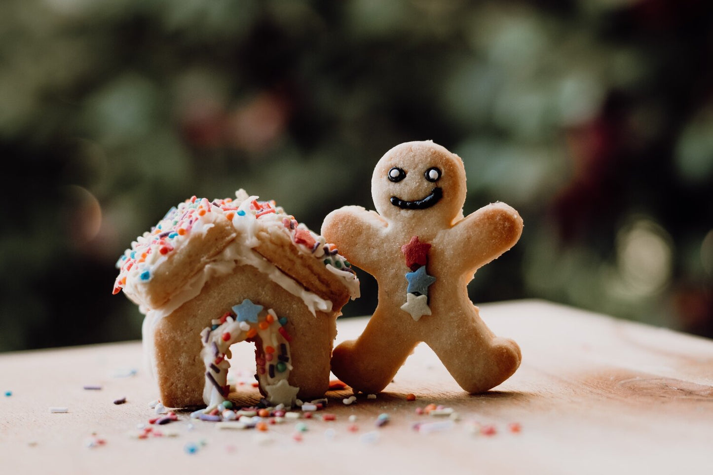 Gingerbread House - Eco Cutter