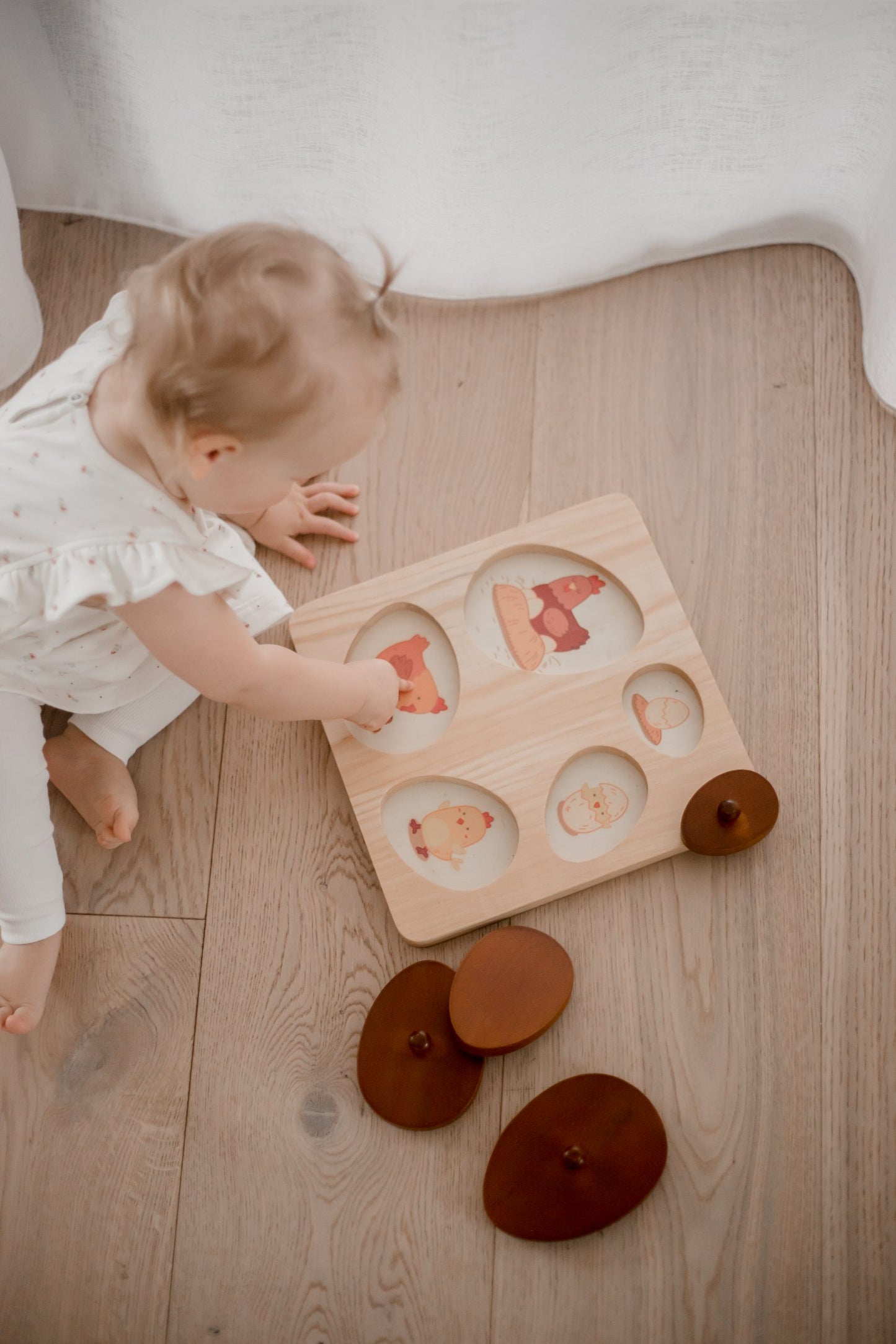 Hen Life Cycle Puzzle