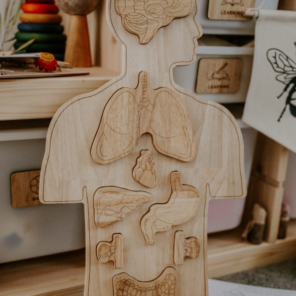 Human Anatomy Puzzle