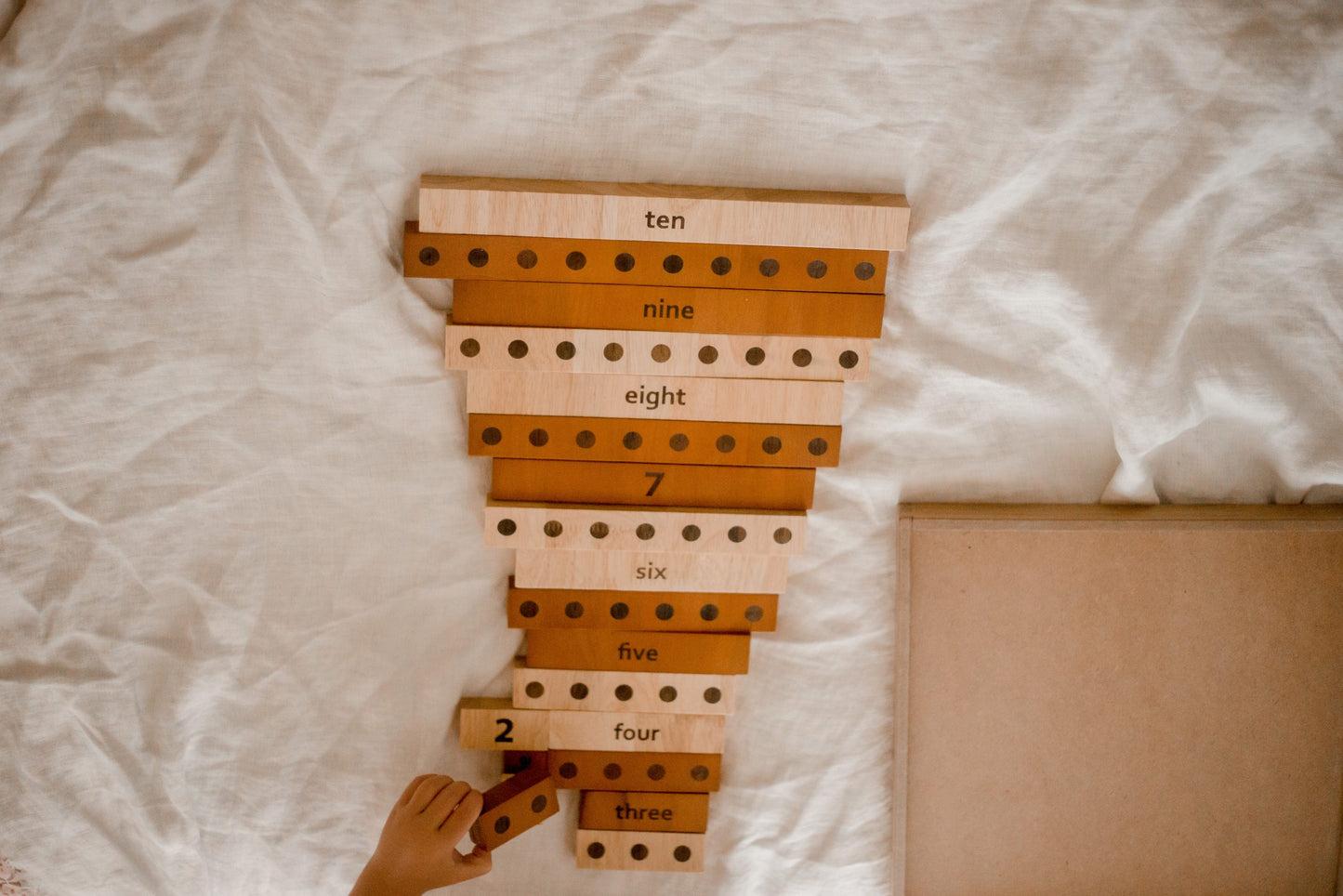 Qtoys - 2 Tone Counting Maths Set