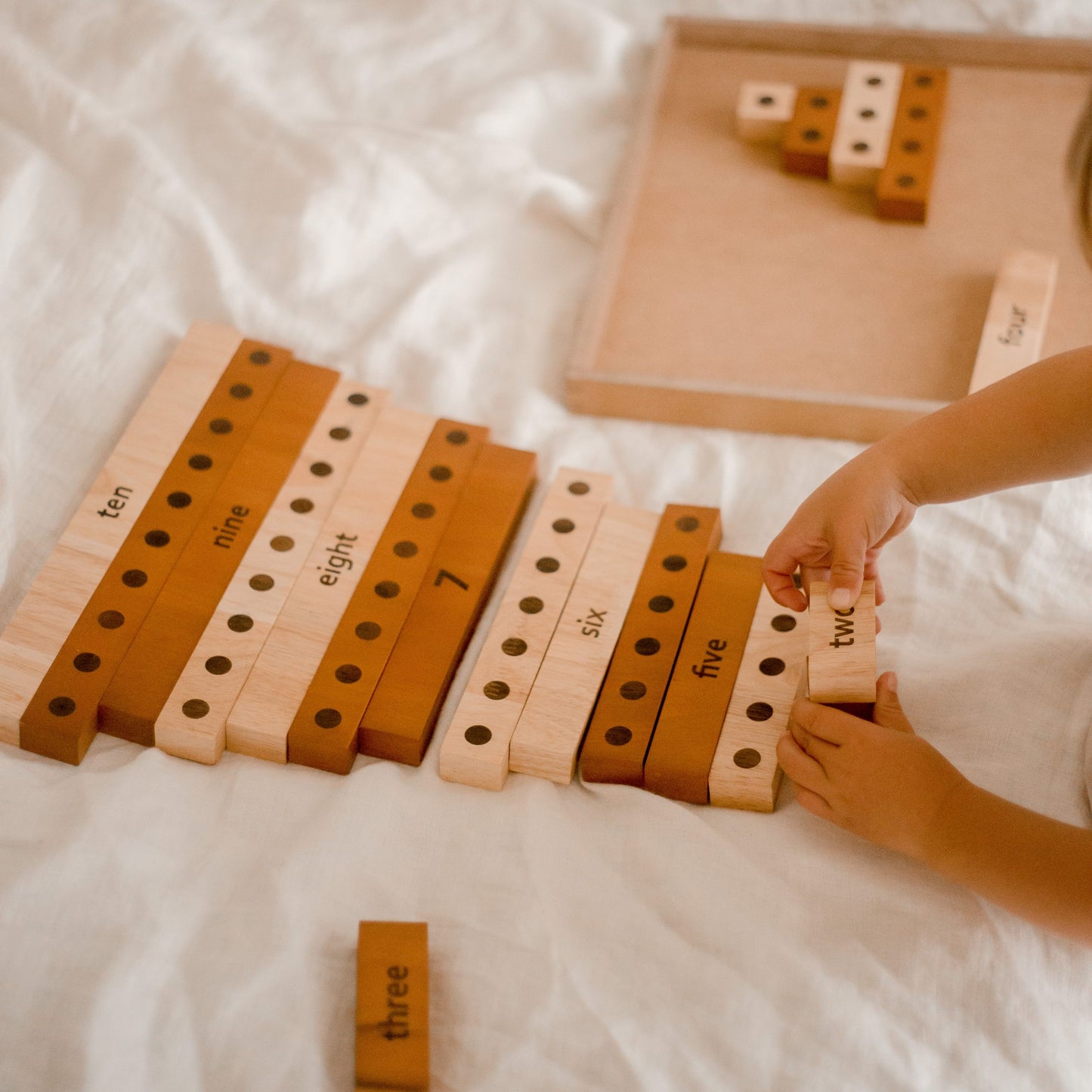 Qtoys - 2 Tone Counting Maths Set