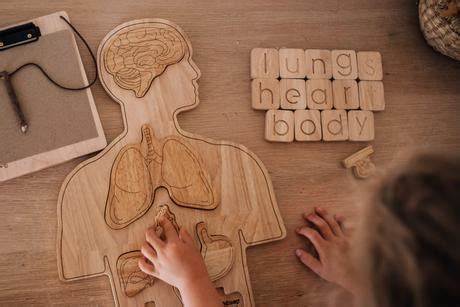 Human Anatomy Puzzle