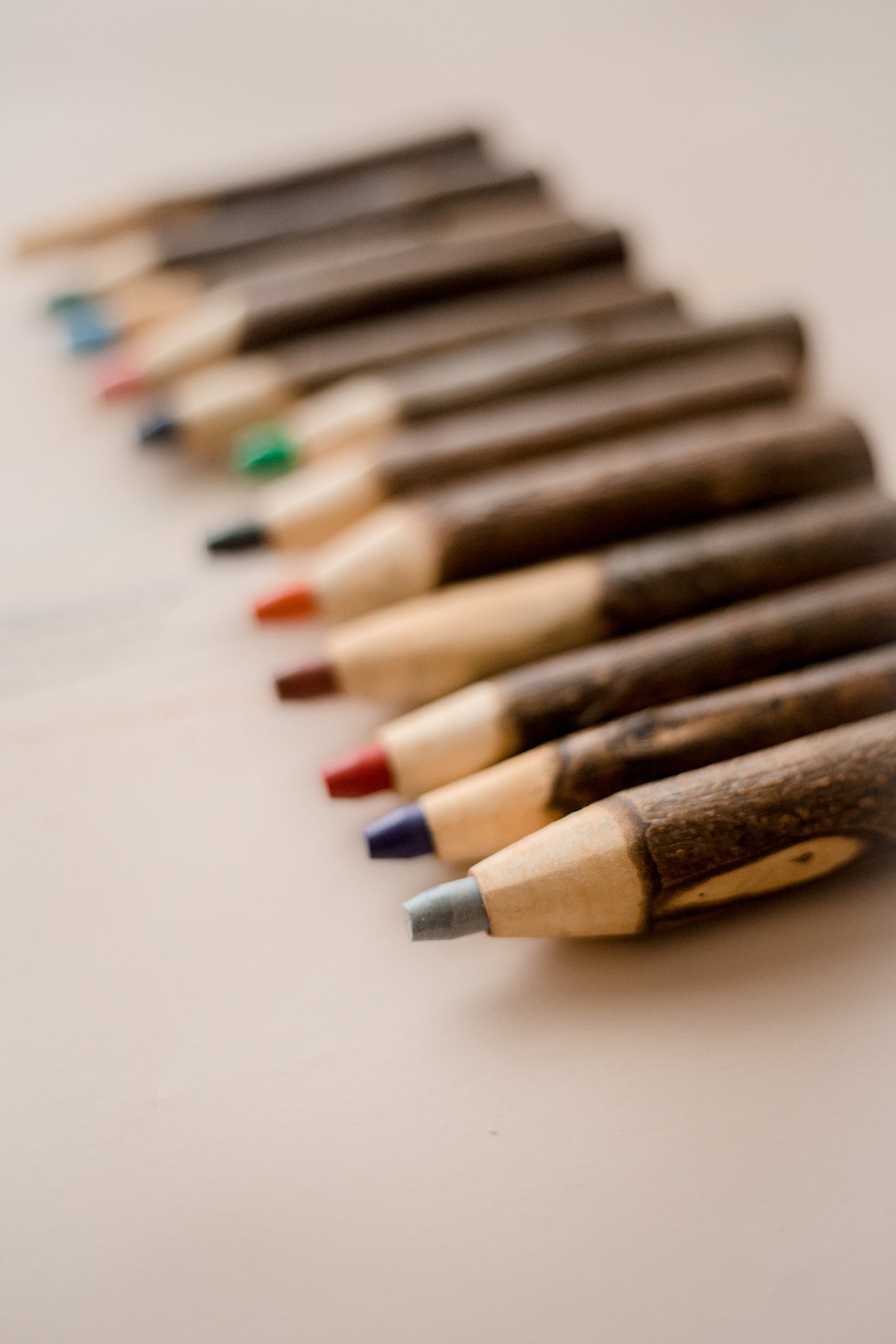 Qtoys - Tree Colour Pencil Set