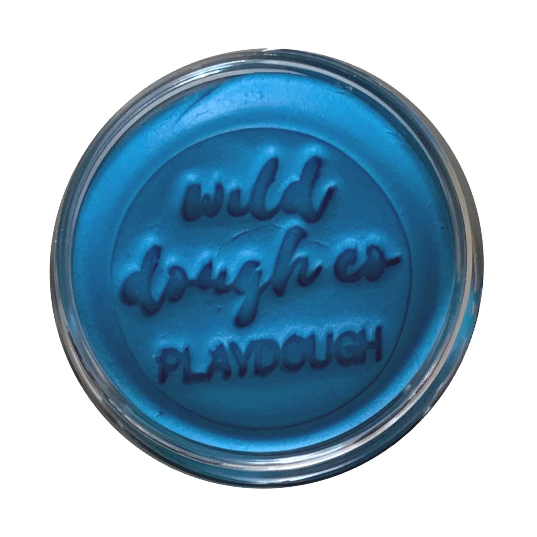 Wild Dough Playdough - Blue