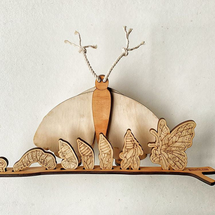 Wooden Butterly And Metamorphosis (life cycle)