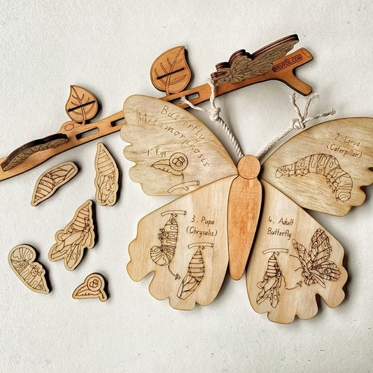 Wooden Butterly And Metamorphosis (life cycle)