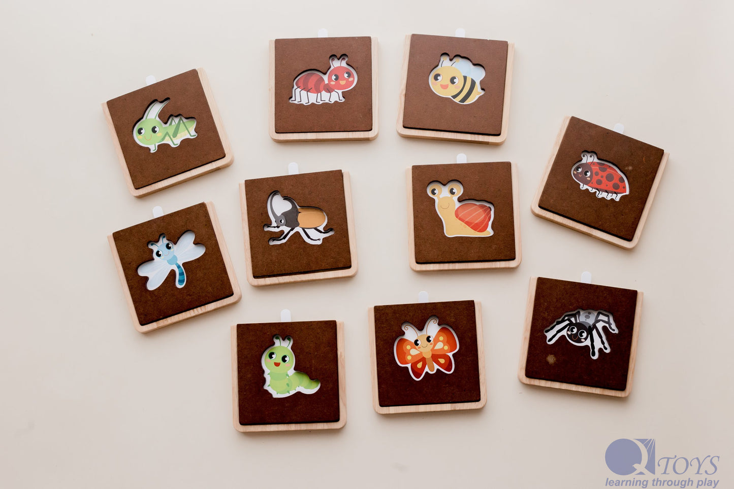 Qtoys My First Insect Learning Set