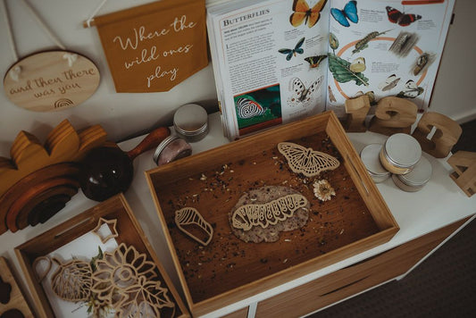 Kinfolk Pantry - Butterfly Life Cycle Eco Cutters