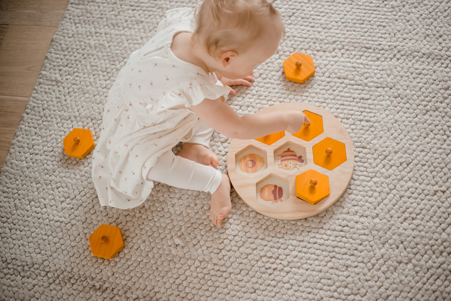 Qtoys - Bee Life Cycle Hive Puzzle