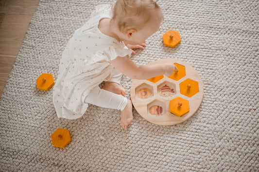 Qtoys - Bee Life Cycle Hive Puzzle