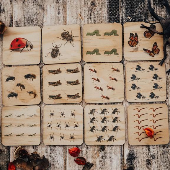 Garden Bug Puzzle - 12pc set