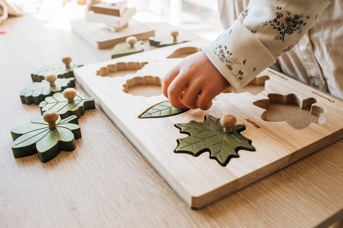 Qtoys Montessori Leaf Puzzle *PREORDER ARRIVING BEFORE CHRISTMAS