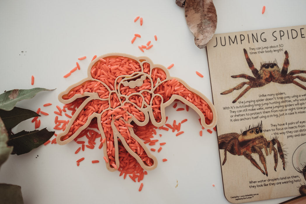 Jumping Spider Eco Cutter - Kinfolk Pantry