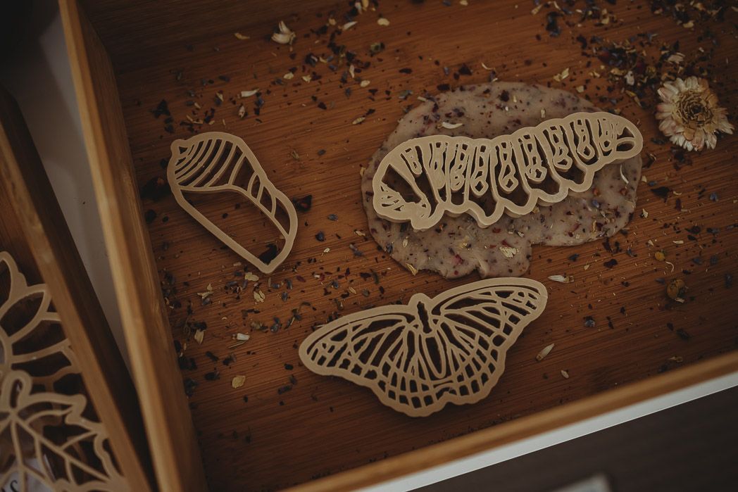 Kinfolk Pantry - Butterfly Life Cycle Eco Cutters